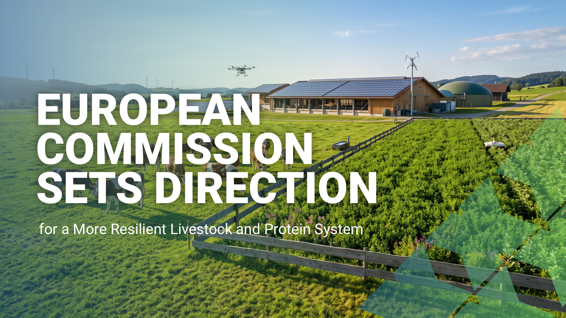 European Commission Sets Direction