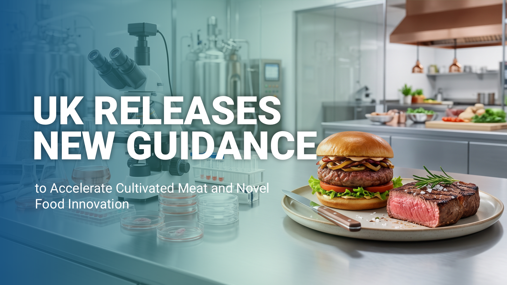 UK Releases New Guidance